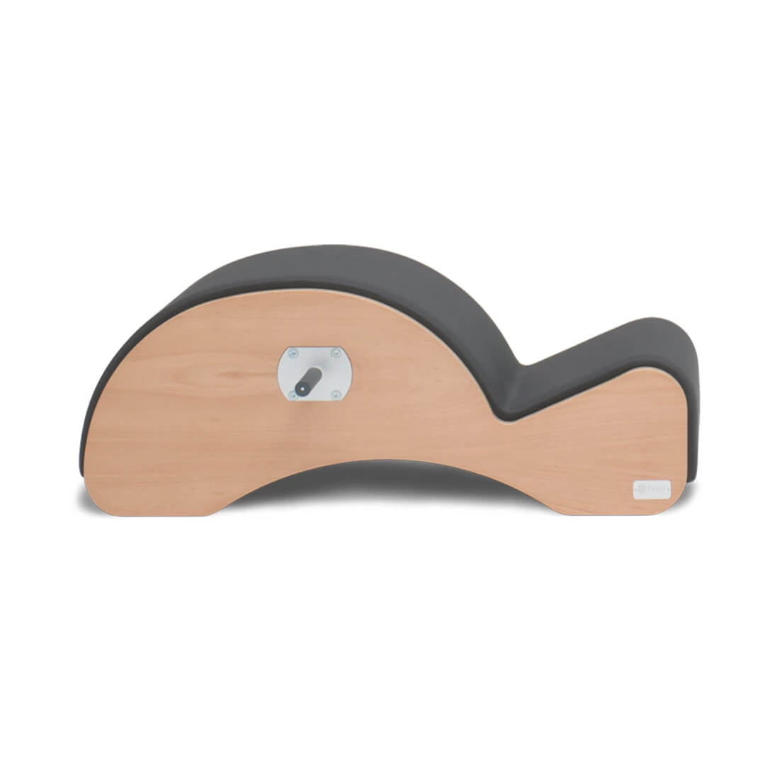 BASI Systems Pilates Spine Corrector with F2 - Pilates Reformers Plus
